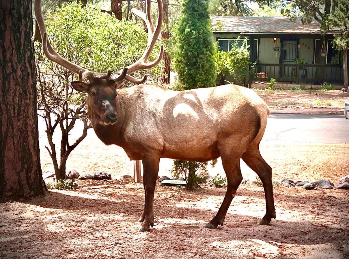 Hidden Gem Retreat In The Heart Of Payson Βίλα Εξωτερικό φωτογραφία