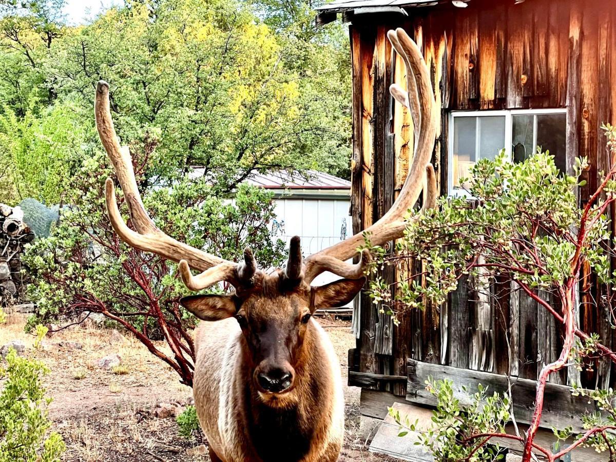 Hidden Gem Retreat In The Heart Of Payson Βίλα Εξωτερικό φωτογραφία
